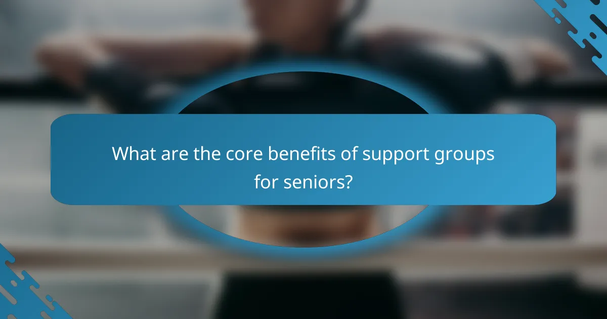 What are the core benefits of support groups for seniors?