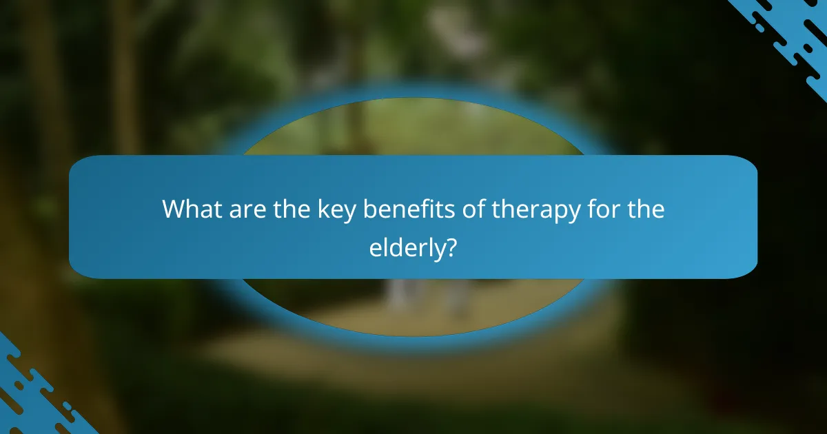 What are the key benefits of therapy for the elderly?