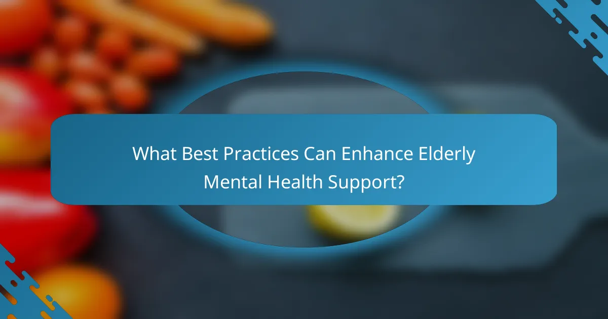 What Best Practices Can Enhance Elderly Mental Health Support?