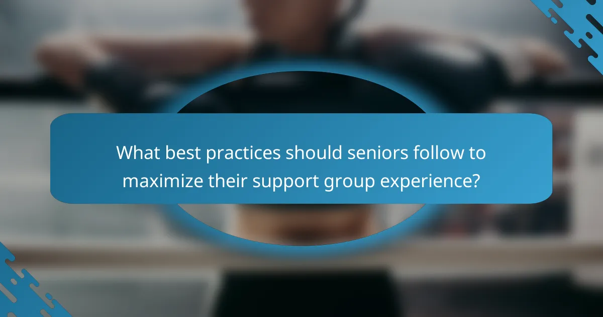 What best practices should seniors follow to maximize their support group experience?
