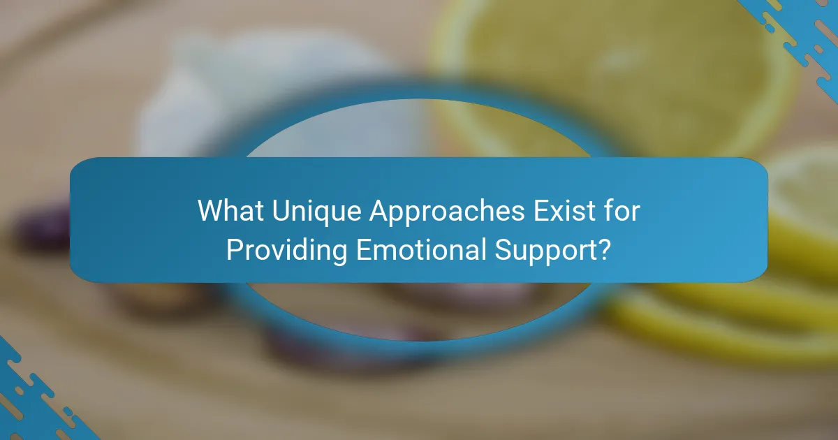 What Unique Approaches Exist for Providing Emotional Support?