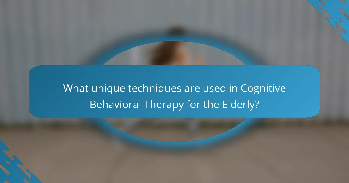 What unique techniques are used in Cognitive Behavioral Therapy for the Elderly?
